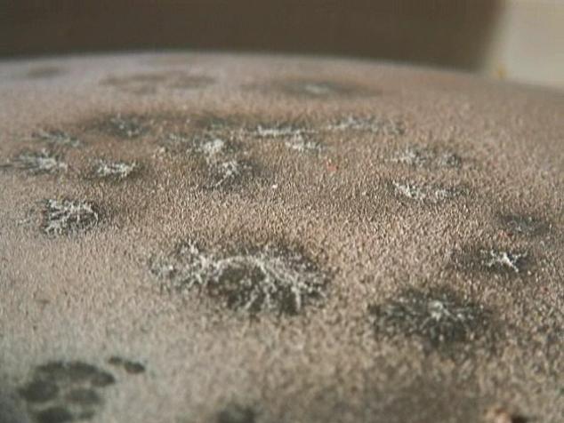 Link to first type of fiberglass spider