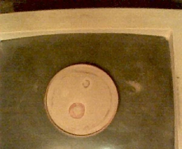 Link to Backyard Experimenter