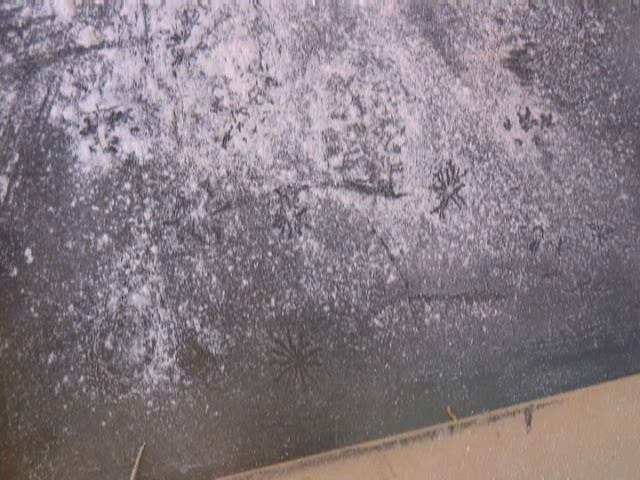 Return to Martian Spiders