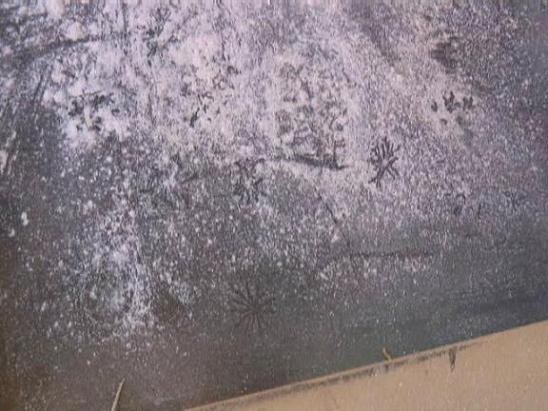 To Martian 

Spiders